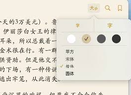 s如何调整字体大小PP电子iBook(图3)